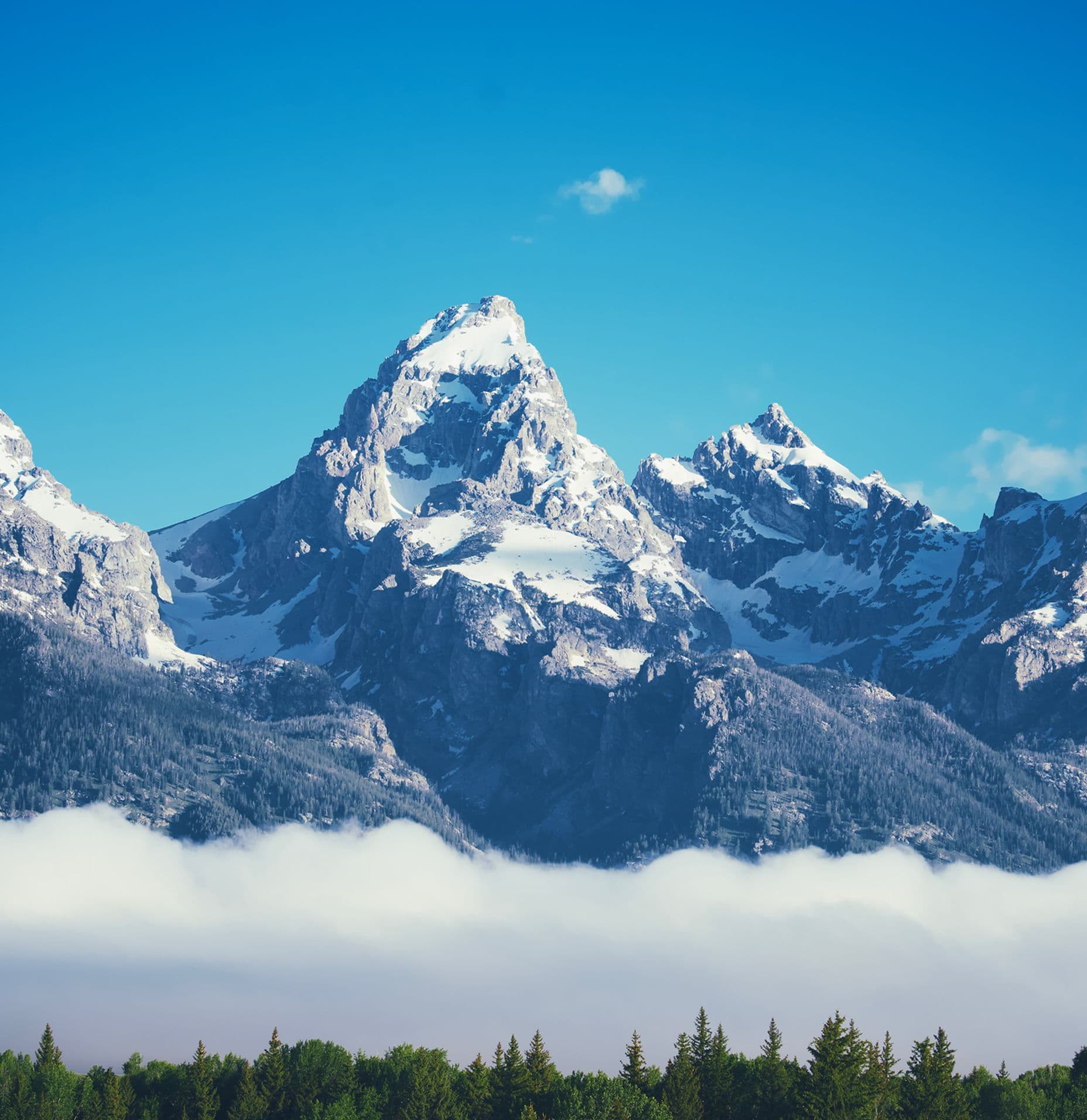 Software Engineering